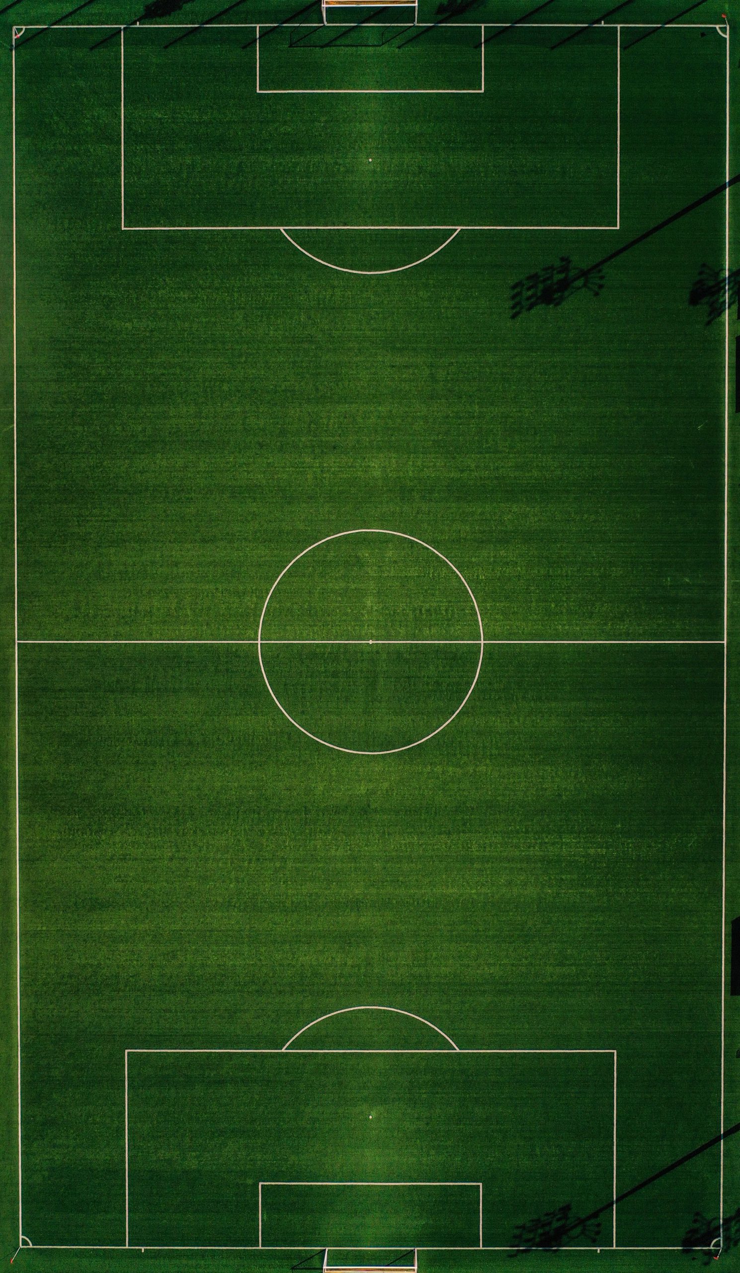 Campo
